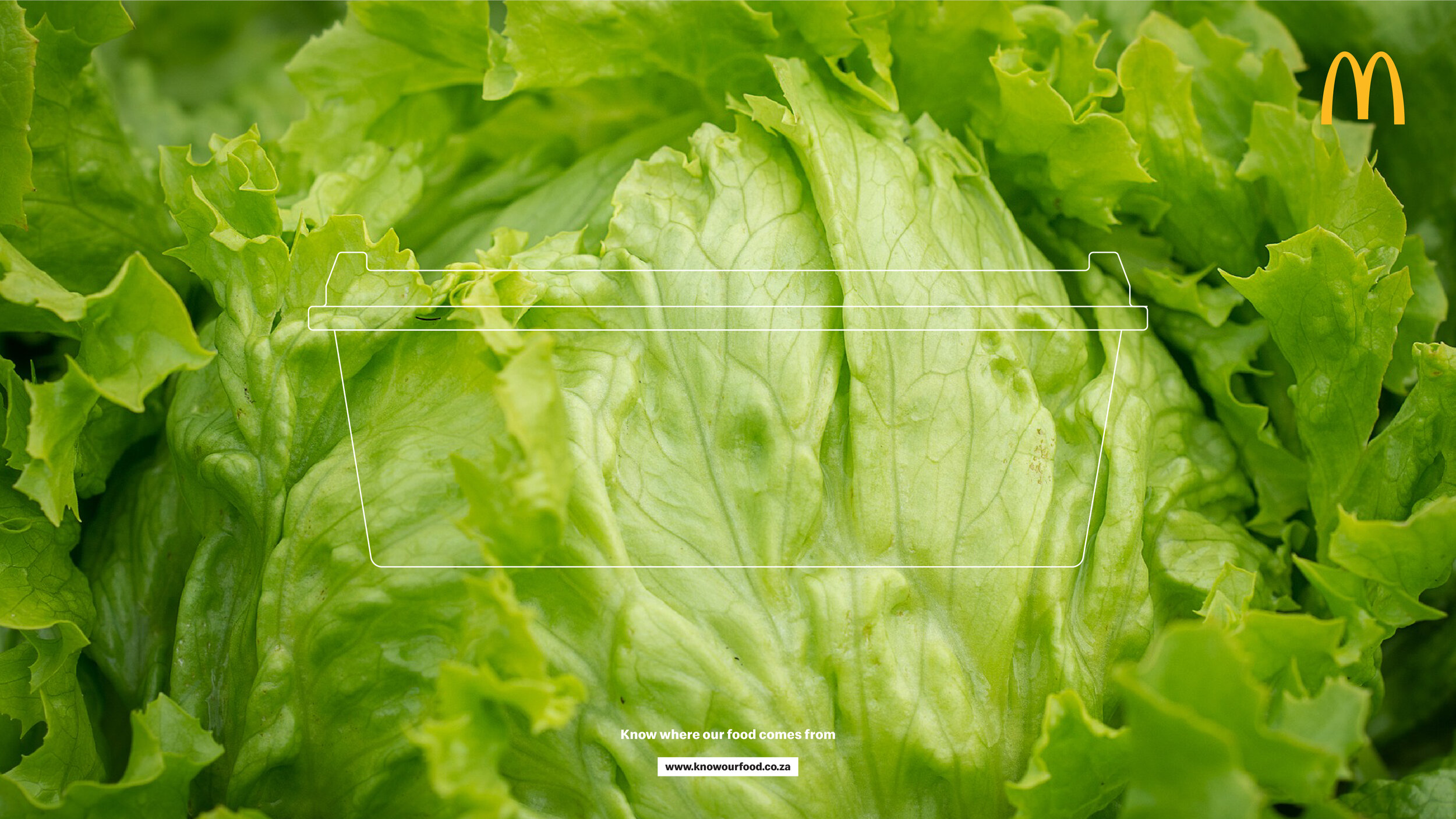 Description of image 4